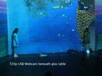 strange lines, interactive theatre